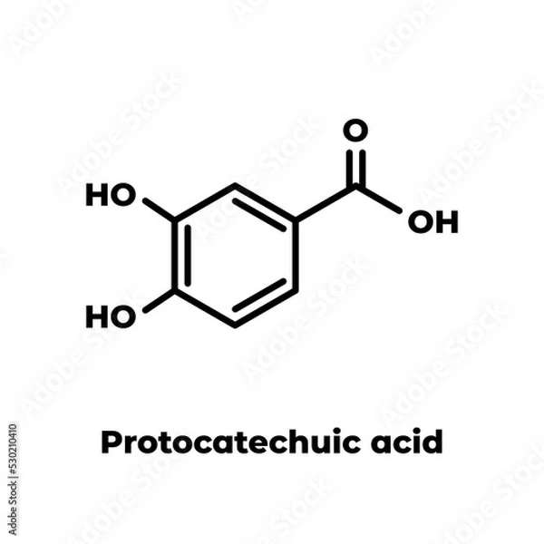 Fototapeta Protocatechuic acid (PCA) green tea antioxidant molecule. Skeletal formula on white background.