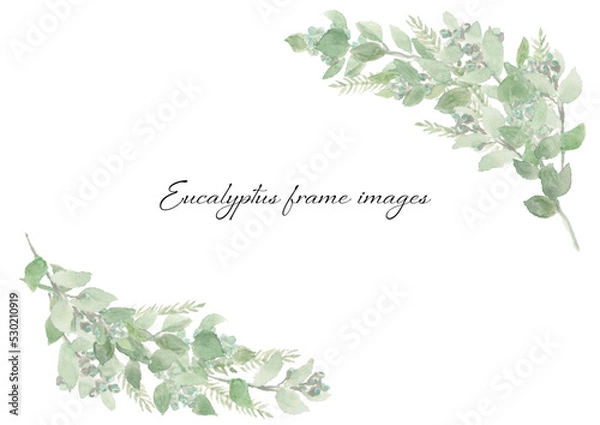 Obraz Eucalyptus frame