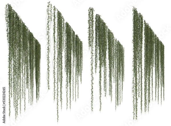 Fototapeta 3d rendering of hanging plant isolated