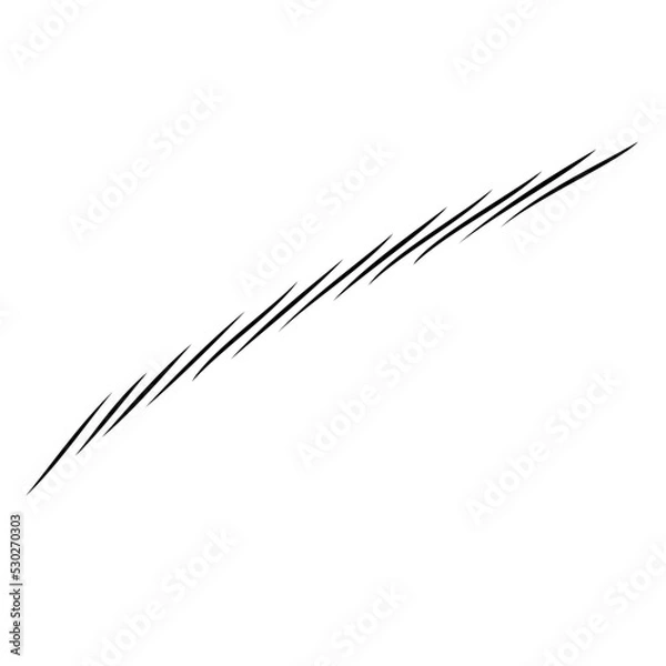 Fototapeta Eyebrow Shape