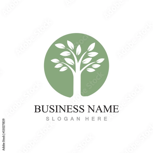Fototapeta tree logo design with template vector concept