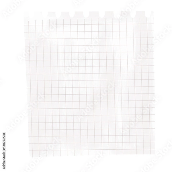 Fototapeta Piece of paper. Notepad page. Checkered paper sheet