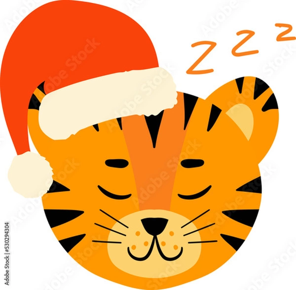 Obraz tiger face head santa hat set