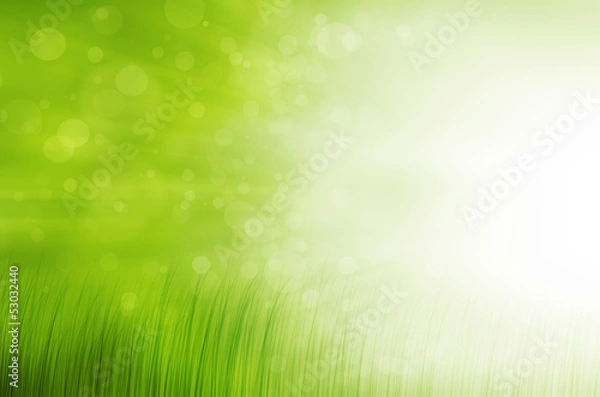 Fototapeta nature background with grass and bokeh lights.