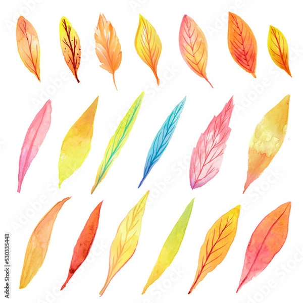 Fototapeta A set of watercolor autumn leaves. Watercolor leaves.