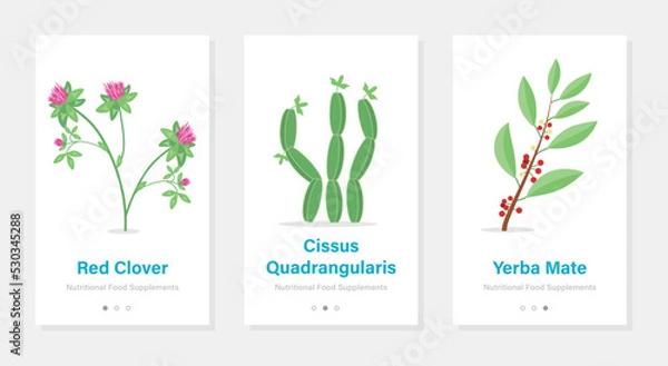 Obraz Three vector banners of food suplements. Isolated vertical onboarding templates with botanical pictures
