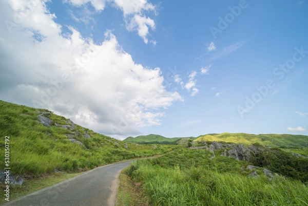 Obraz 夏の爽やかな青空と緑の野原