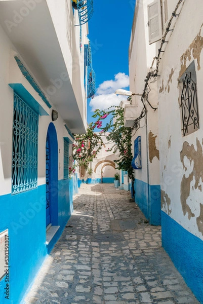 Obraz BIZERTE CITY ?A TUNISIAN PEARL