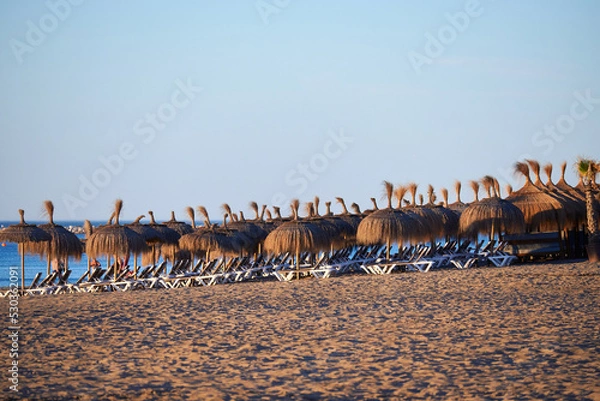 Obraz straw umbrellas and beach loungers on the beach