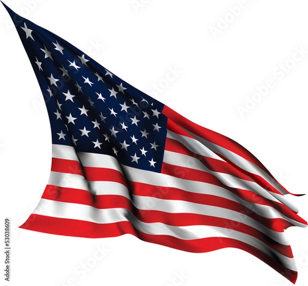 Obraz USA flag vector