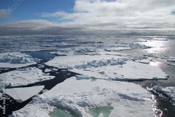 Obraz Packeis - treibende Eisschollen
