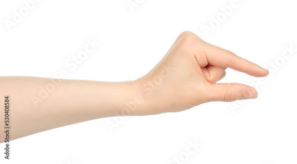 Fototapeta Woman hand shows virtual holding something, on white background