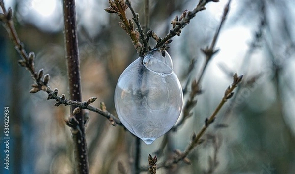 Obraz Frozen Bubble