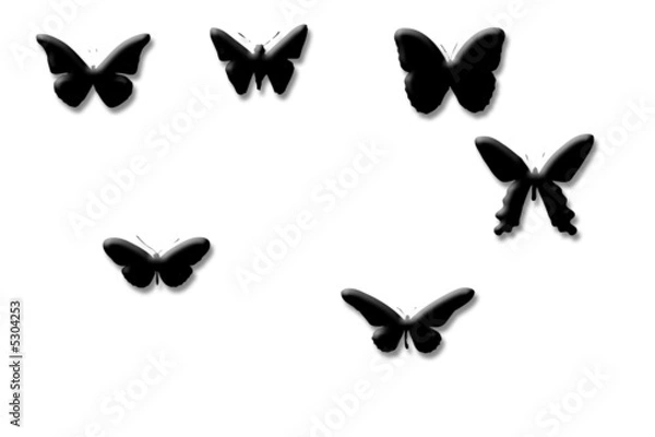 Obraz Butterfly 007