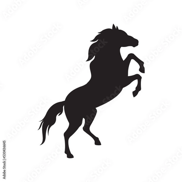 Obraz Rearing Horse Black Silhouette vector