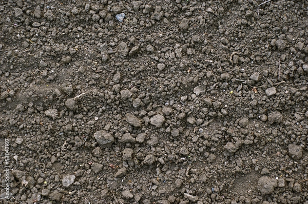 Obraz Soil ground background for planting
