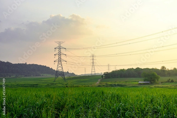 Obraz High voltage electricity distribution pole with trees shadow at sunset, electric supply transmission pylon line for energy generator technology industry
