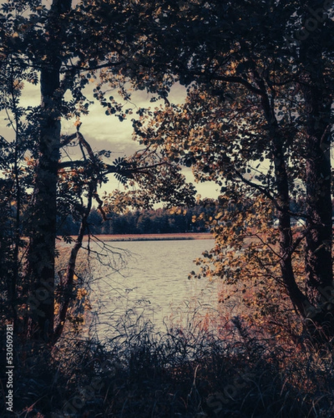 Fototapeta Autumn view in Finland seascape. Natural frame