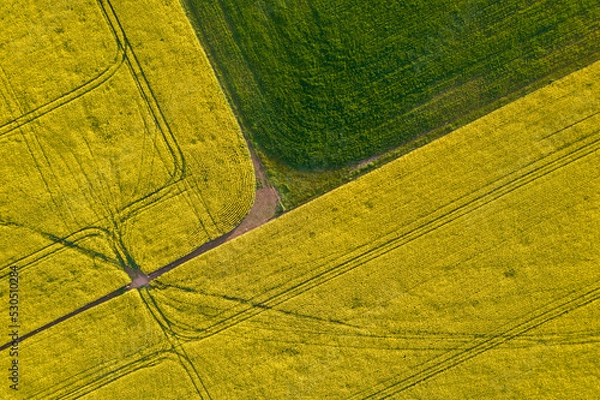 Obraz Looking down at canola field patterns in the Mallee.