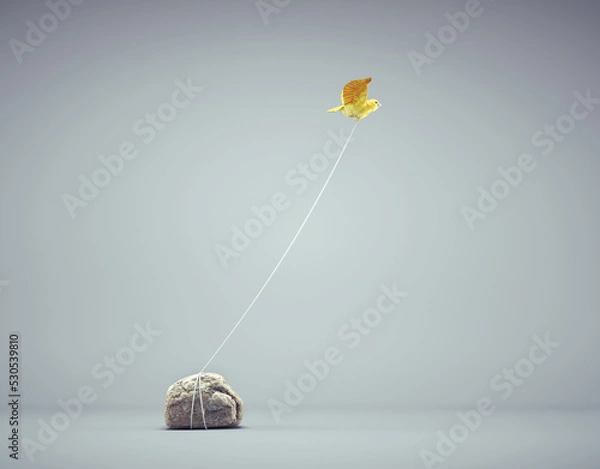 Fototapeta Bird tied to a rock flying away. Confidence and mindset concept.