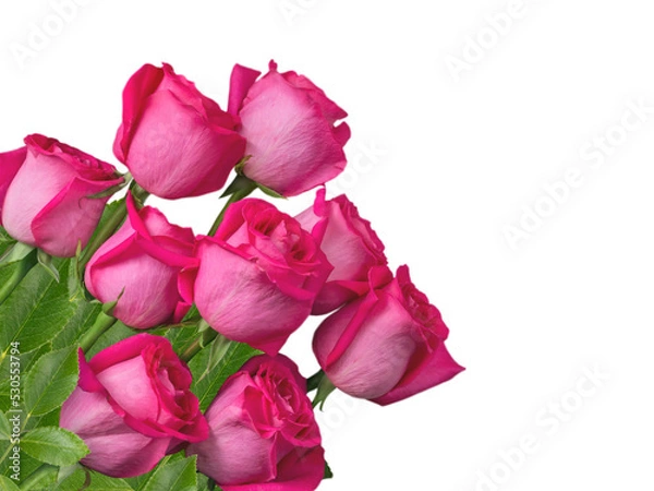 Fototapeta Pink roses bunch in the corner isolated transparent png