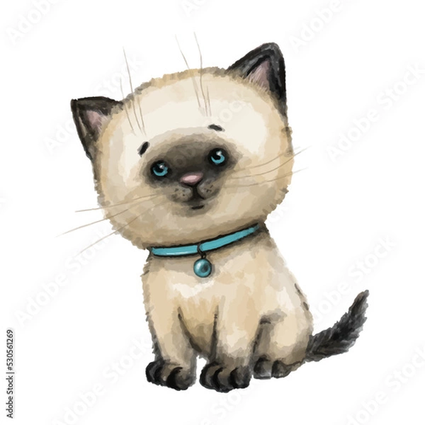 Fototapeta Cute cat watercolor vector illustration isolated on white background. Siamese kitten with a turquoise collar. Animal Character Design