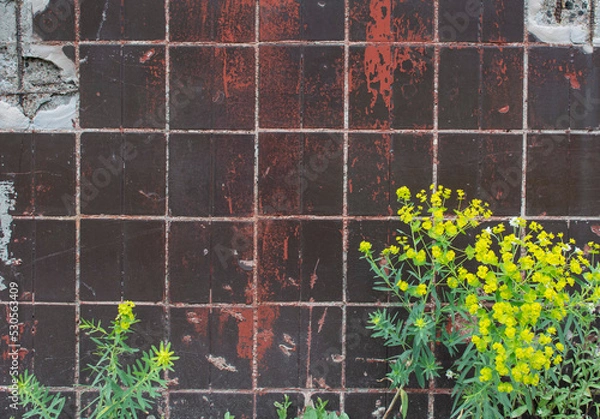 Fototapeta Wall texture with square tiles