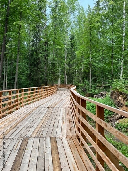 Obraz wooden bridge in the middle of the forest