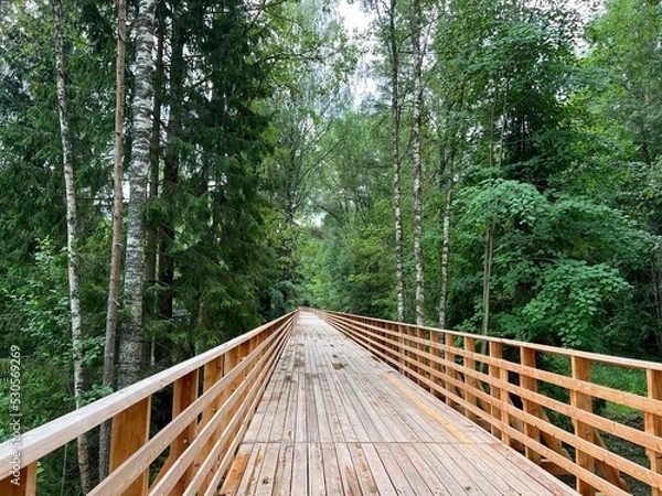 Obraz wooden bridge in the middle of the forest