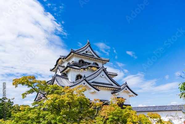 Fototapeta 滋賀県彦根市の国宝彦根城　天守