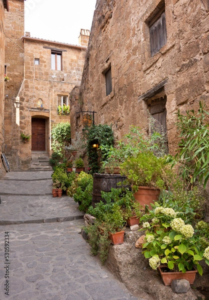 Fototapeta Picturesque building in medieval town in Tuscany, Italy. Old stone walls and plants