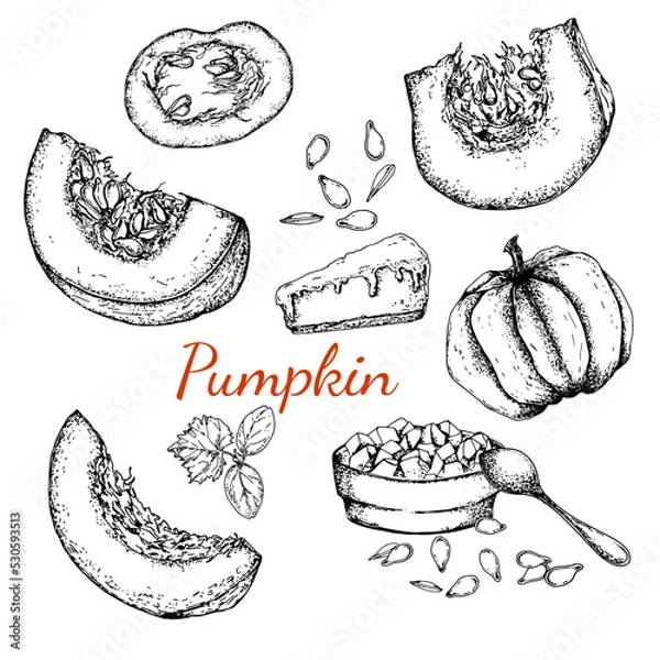 Fototapeta Pumpkin. Sliced pumpkin, seeds and plant sprout. Porridge and pumpkin pie. Black and white stock illustration. Sketch. Hand drawn. Isolated. Engraving. Great for vegetarian food labeling, packaging 