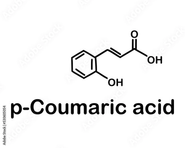 Fototapeta Chemical structure of p-coumaric acid. Vector illustration. p-Coumaric acid is an organic compound with the formula HOC6H4CH=HCO2H. 