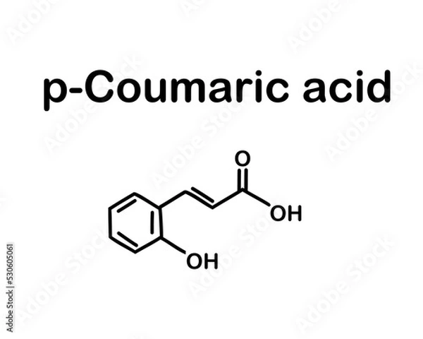 Fototapeta Chemical structure of p-coumaric acid. Vector illustration. p-Coumaric acid is an organic compound with the formula HOC6H4CH=HCO2H. 