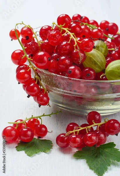 Fototapeta A glass bowl with fresh wet red currants stands on a white wooden table, several branches with leaves lie nearby.