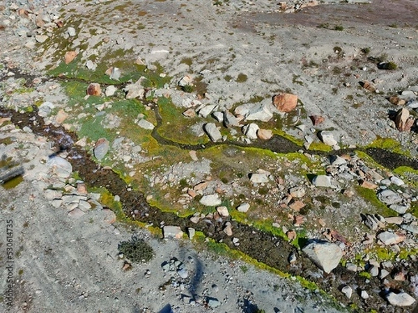 Obraz moss and water natural patterns on stone