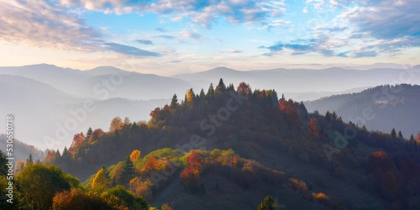 Fototapeta forested rolling hills in evening light. mountain ridge in the distance. beautiful landscape in autumn