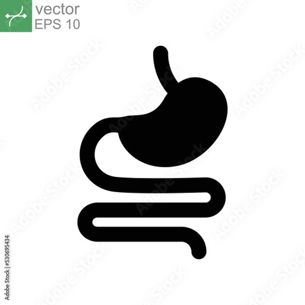 Obraz Digestive system. Human stomach and gastrointestinal system. Gastrointestinal Infographic. Stomach or gastric and Colon tract as internal organ.Vector illustration. Design on white background. EPS 10
