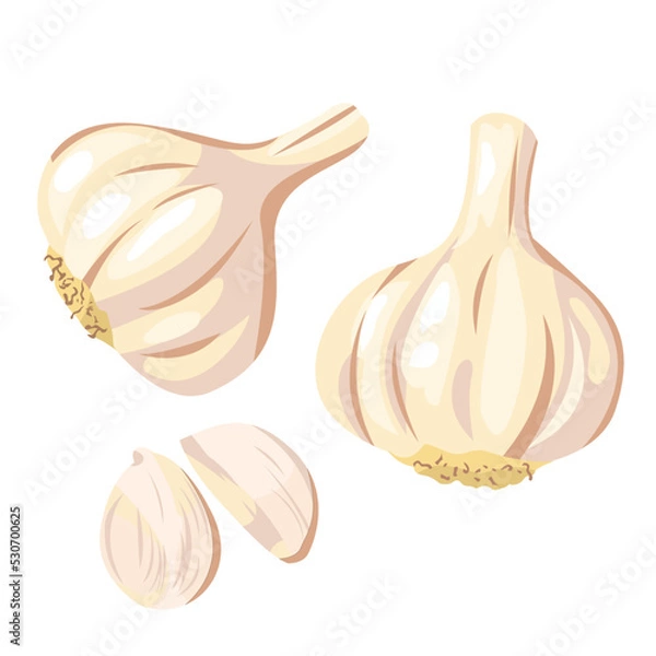 Obraz fresh garlic isolated on white