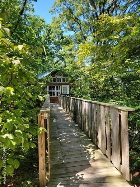 Obraz cabin in the woods