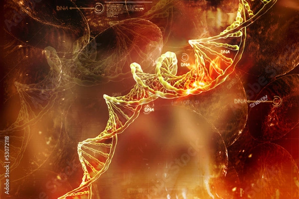 Obraz Digital illustration of  DNA