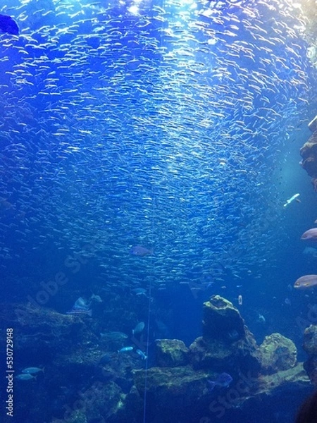 Fototapeta background