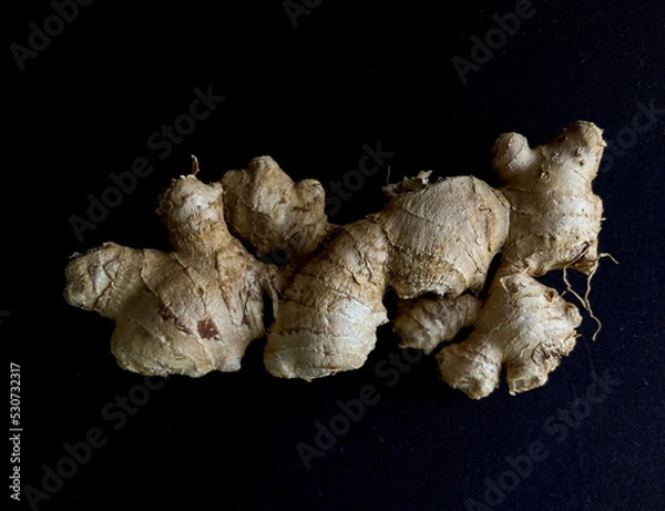 Obraz Ginger with the black background