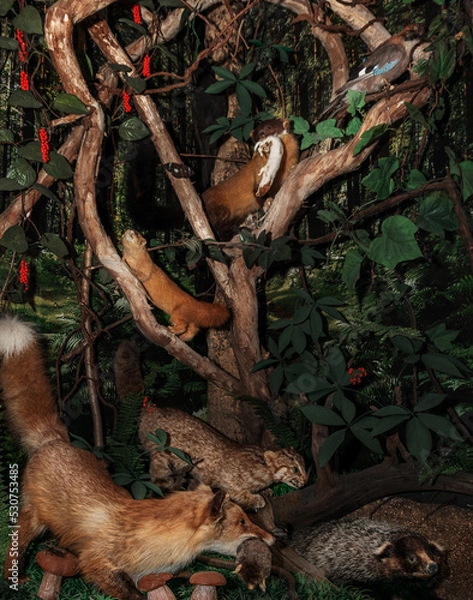 Fototapeta Stuffed animals of various animals are located on the wall and on a branch.