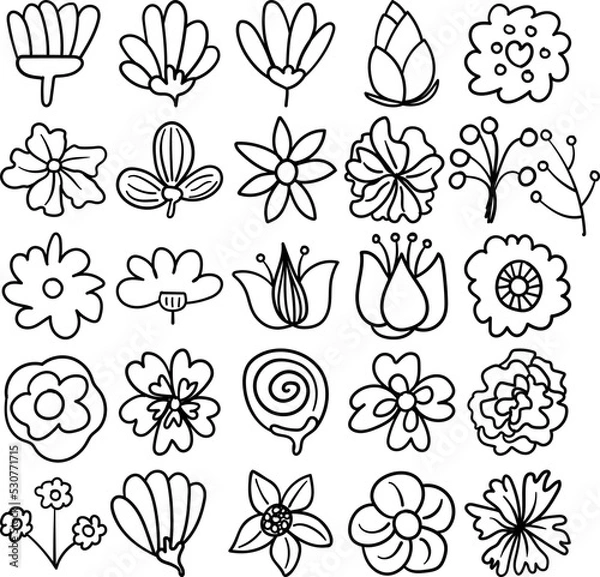 Obraz Flowers Hand Drawn Doodle Line Art Outline Set Containing flower, flowers, blossom, flora, bloom, baby tooth, herb, perennial, vine, annual, bud, cluster, efflorescence, floret, floweret