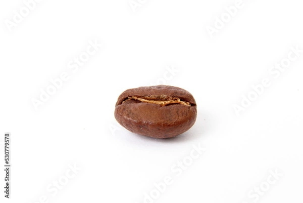 Obraz coffee bean isolated
