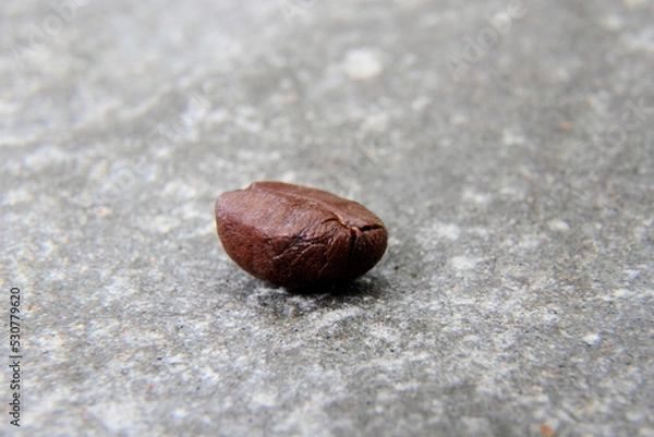 Obraz coffee bean isolated