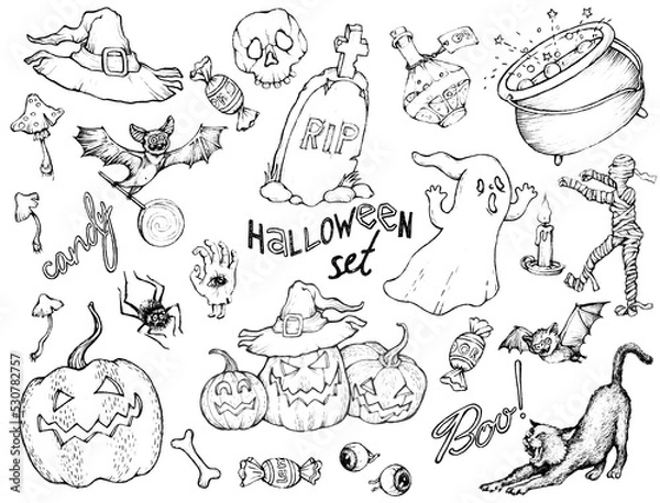Fototapeta Set of thematic isolated images on a white background for Halloween. Pumpkins, a ghost, a cat, a grave and other sketches of magical characters and things are drawn in ink.