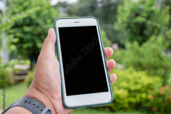 Obraz Businessman online shopping, spending money, work from home concept, ordering or selling online with modern concept of people at home.
