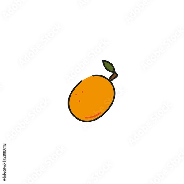 Fototapeta apricot icon, vector illustration